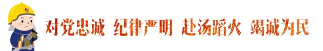石家庄市防火救援支队关于将火灾隐患举报投诉电话“96119”并入石家庄市12345政务服务便民热线的公告