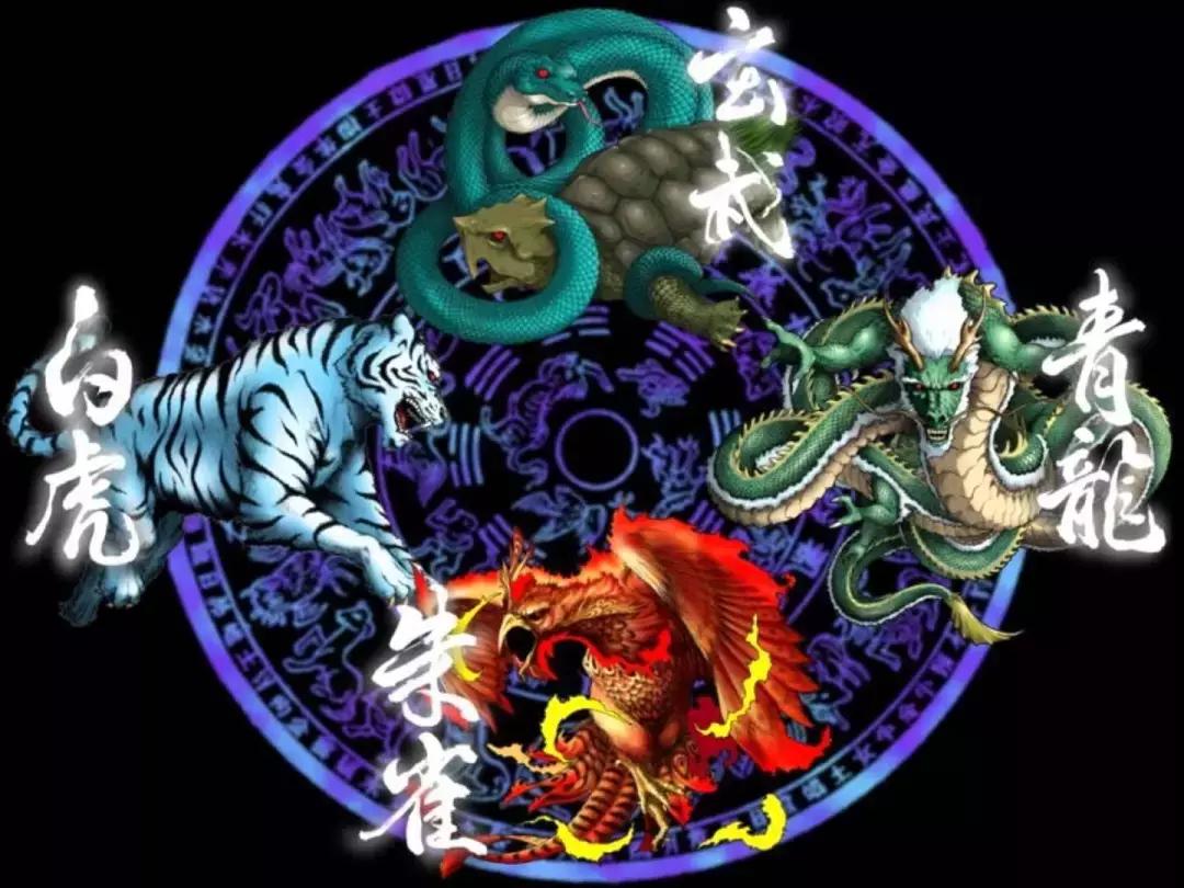 acg的蓝白条纹,acg有什么含义