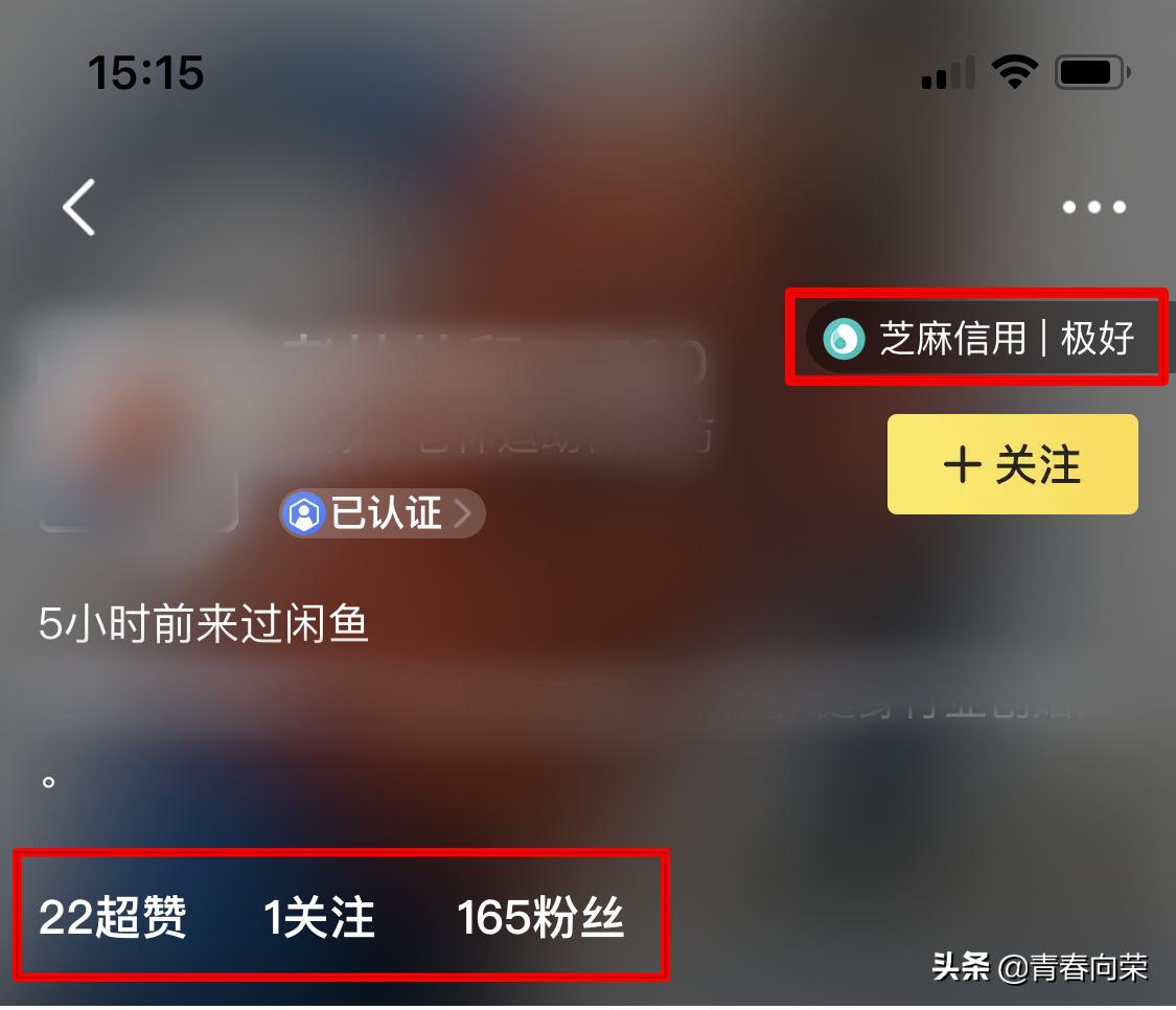 新手闲鱼卖家注意事项,闲鱼动手流程及注意事项