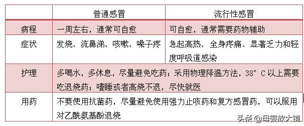 一张图了解孕期,一图看懂孕期食物