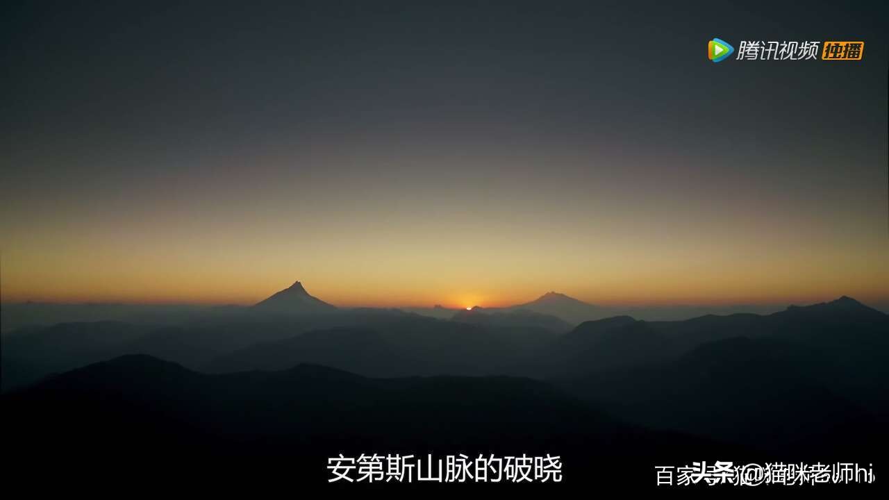 这种动物，你讲出它的名称，你是我尊重优秀的粉丝