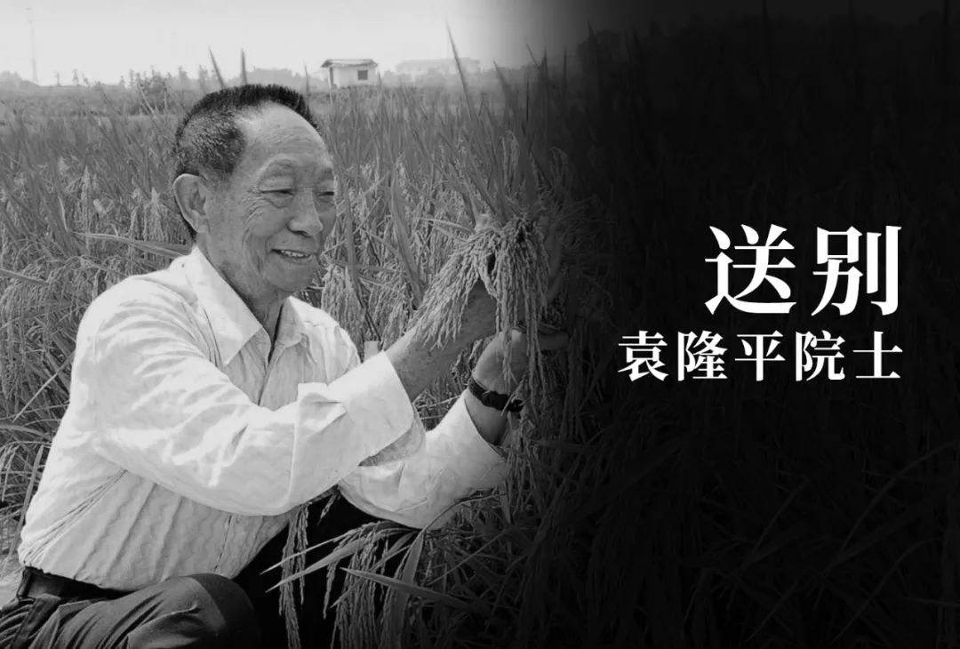 送别袁隆平群众高呼一路走好,袁隆平院士群众送别