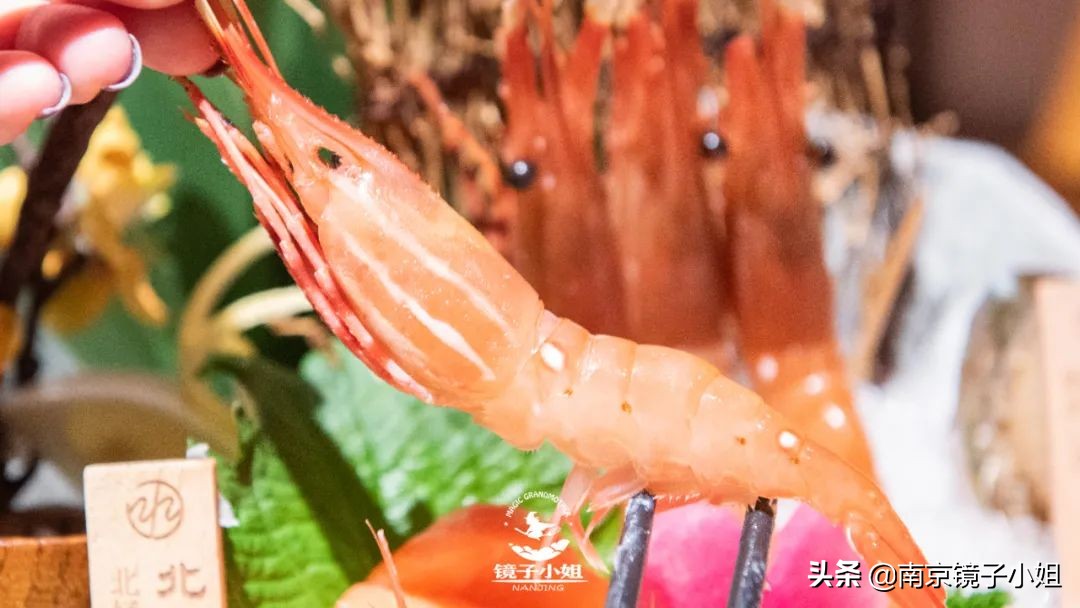 @南京人！寿喜烧大佬新品放题重磅来袭