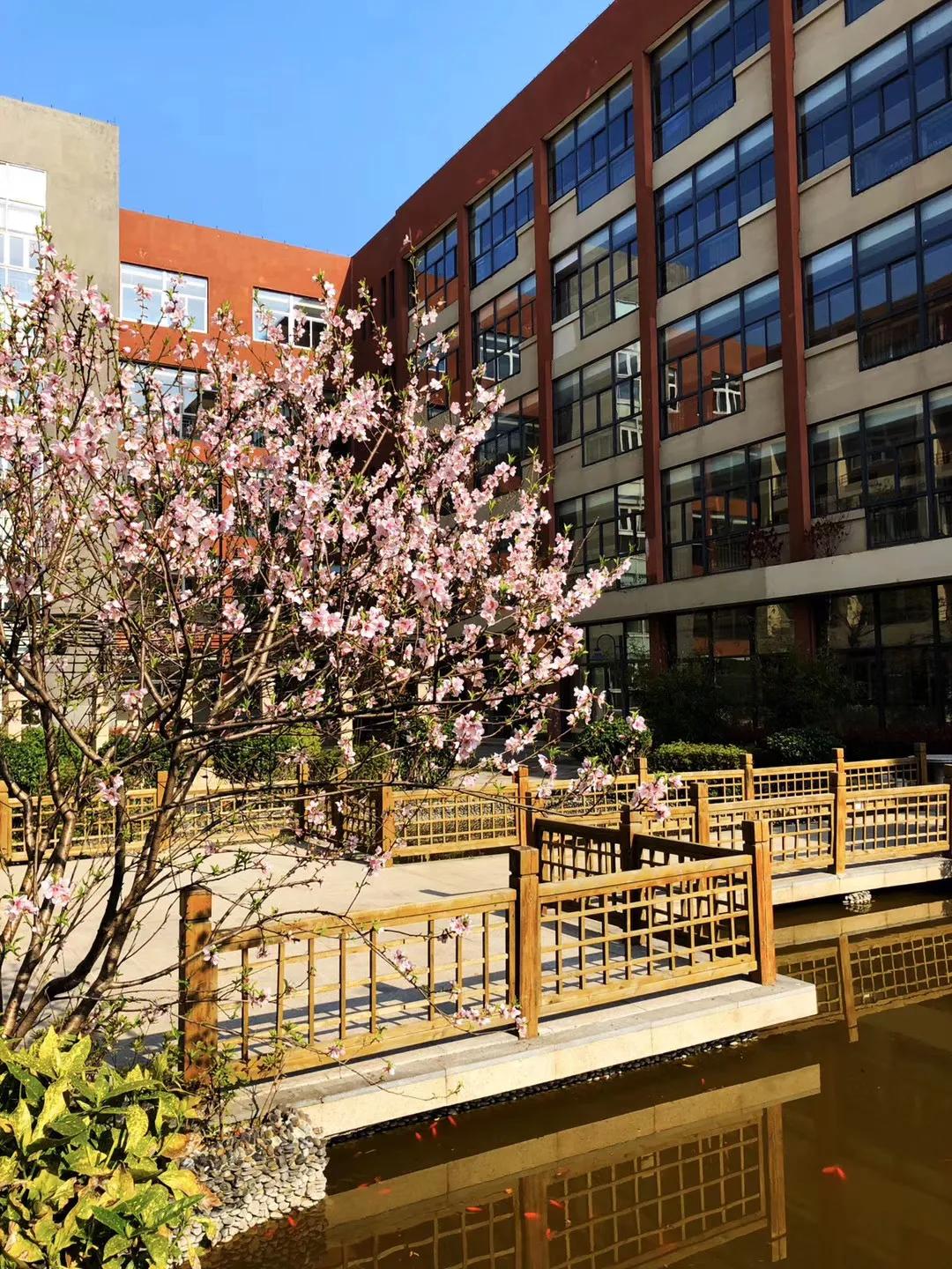 碧桂园山湖城学校开学,碧桂园西湖小学开学