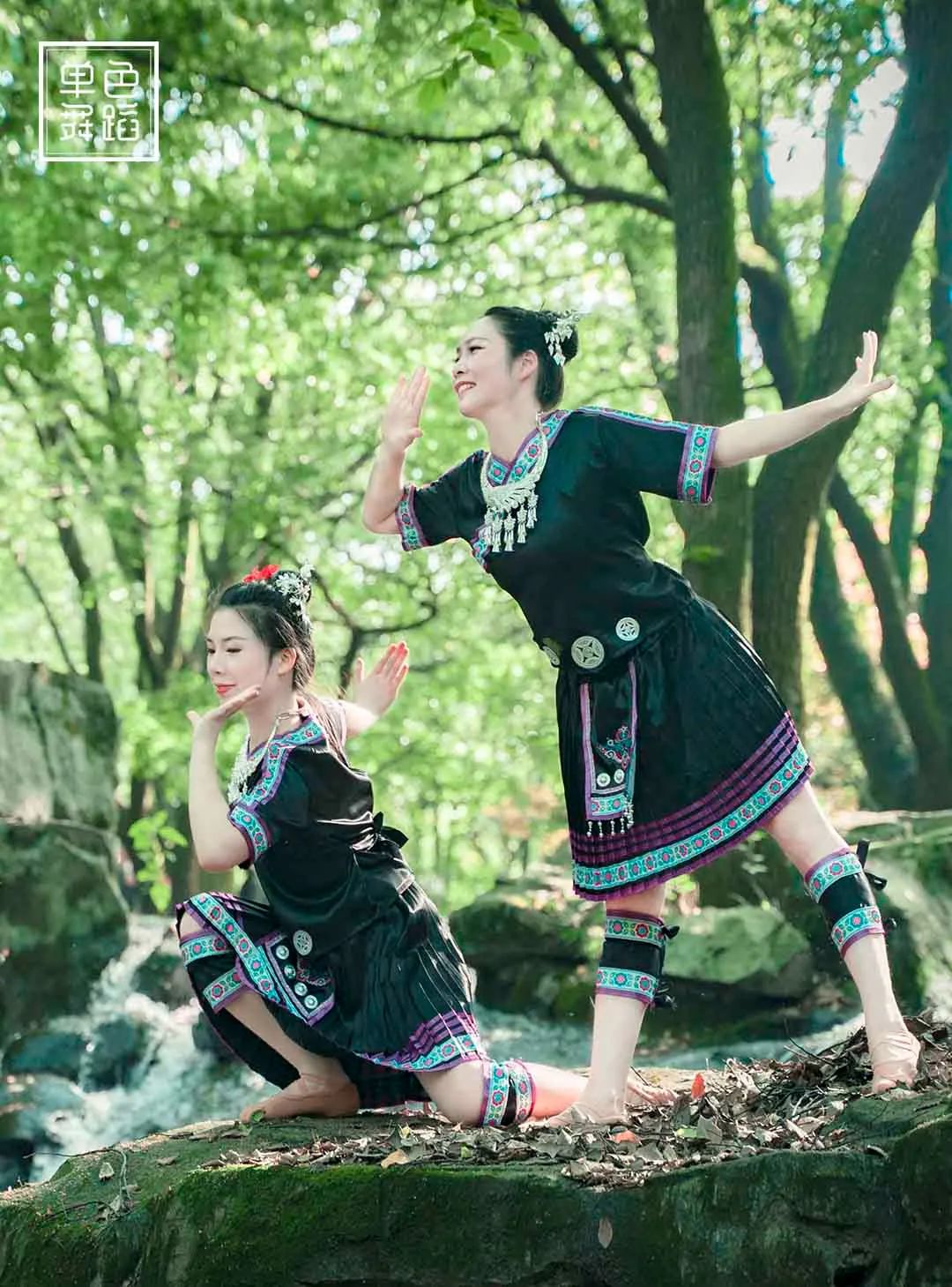 上热搜的民族舞,上热搜的舞蹈