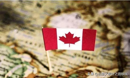 去加拿大陪读的妈妈需求什么条件,陪读移民