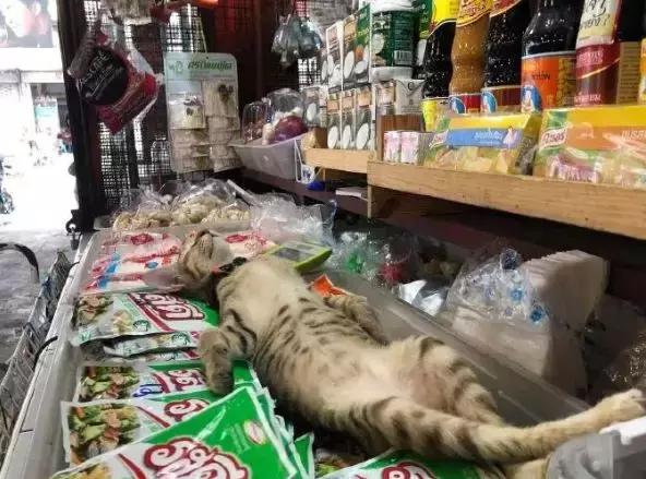 香港这家便利店的店长，靠着腮帮子走红了