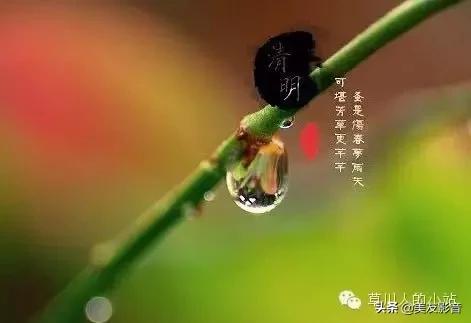 精选清明寒食古诗二十首,寒食清明诗句大全