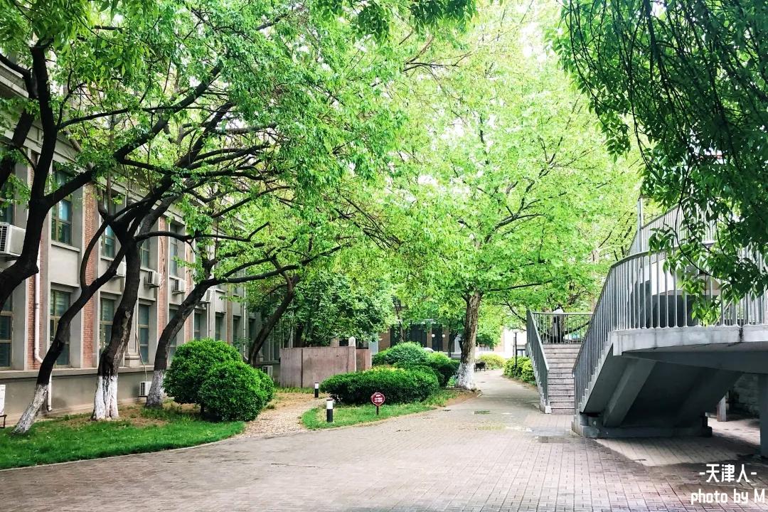 天津市南开中学全国排名,南开中学在全国有几所