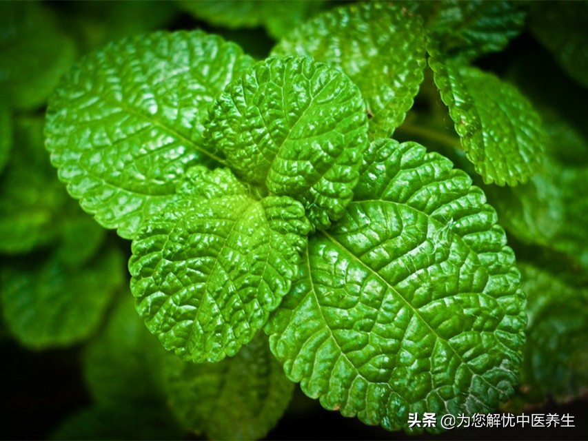 这是一张可美手的经方