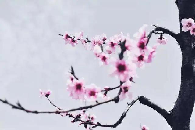 如此才华横溢,才华横溢十首诗