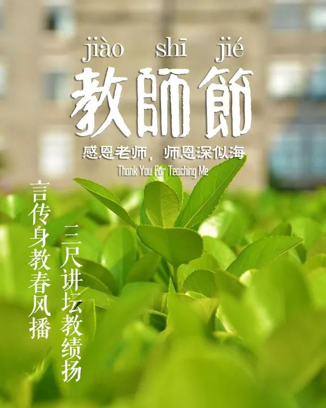 教师节感谢老师的诗句,关于教师节的诗句古诗送给老师