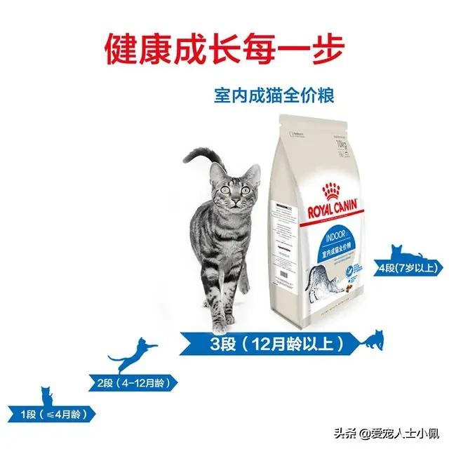 猫咪能感受其他猫咪生病了吗,猫咪总流眼泪是什么原因呢