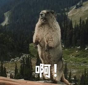 谨慎猥琐能吃么？莽就完事了