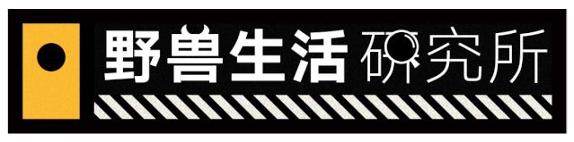 格力降血糖电饭煲,降血糖电饭煲是真的吗