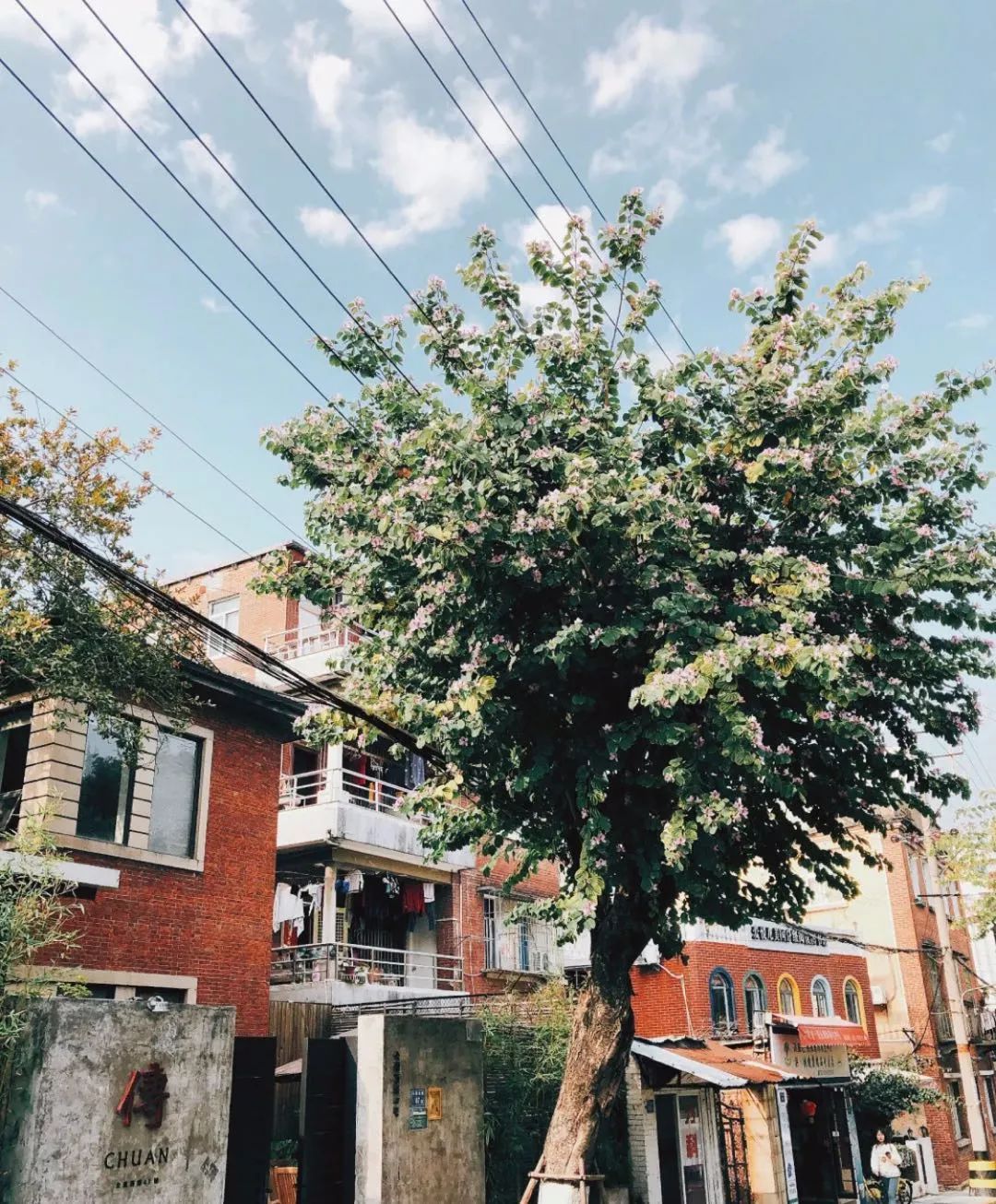 《以家人之名》完结倒数，谭松韵生活的城市，居然藏着太多惊喜