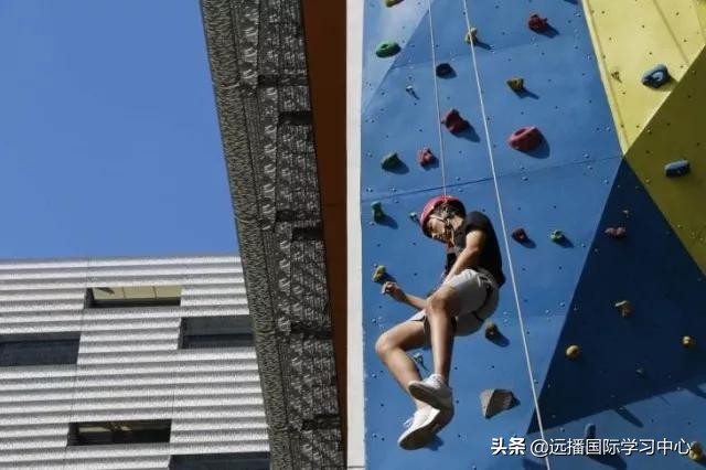 北上深这几所国际学校的课外活动堪比十几万的兴趣班