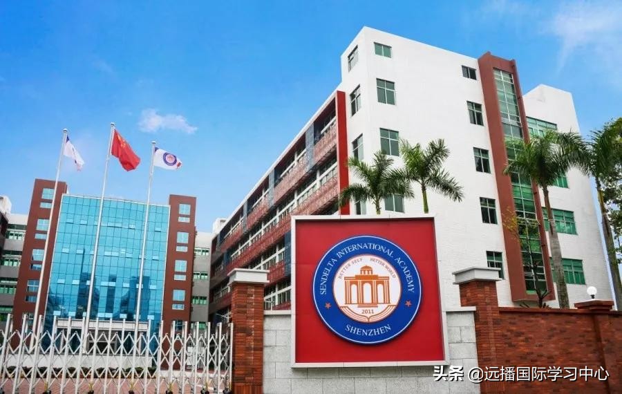 北上深这几所国际学校的课外活动堪比十几万的兴趣班