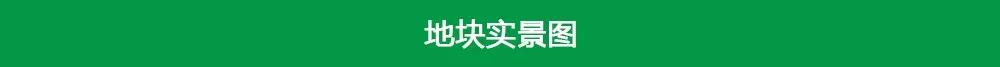 碧桂园拿地郴州,郴州永兴碧桂园永兴府126平