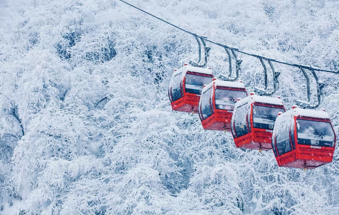 西岭雪山游玩攻略一日游有雪没有,西岭雪山赏雪一日游攻略