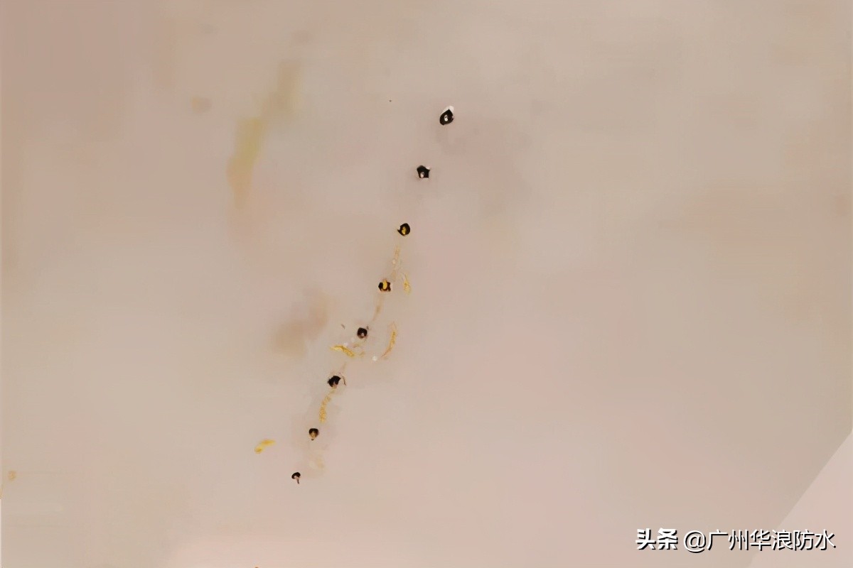 阳台补漏雨虹防水,雨虹防水露台防水怎么处理