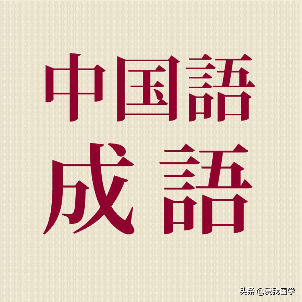 中国成语大会王蕊现在在哪工作,中国成语大会精彩片段