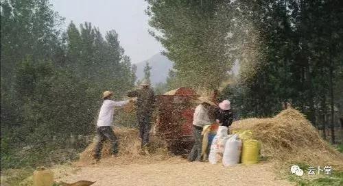我的知青生涯第十一集,我的知青生涯十四集