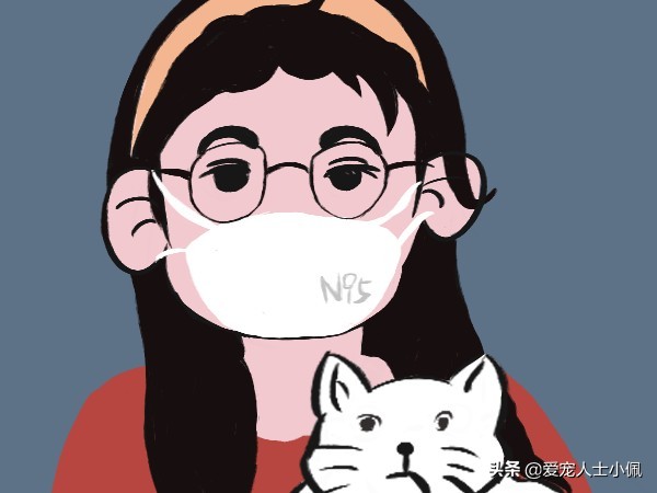 猫咪能感受其他猫咪生病了吗,猫咪总流眼泪是什么原因呢