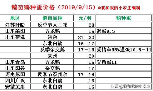养鹅的利润和风险,养鹅带来的收益和面临的问题