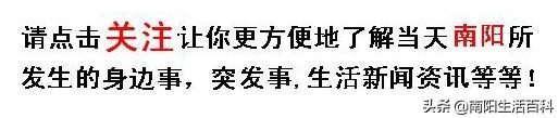 “中国酵素之都”等你来----南阳南召