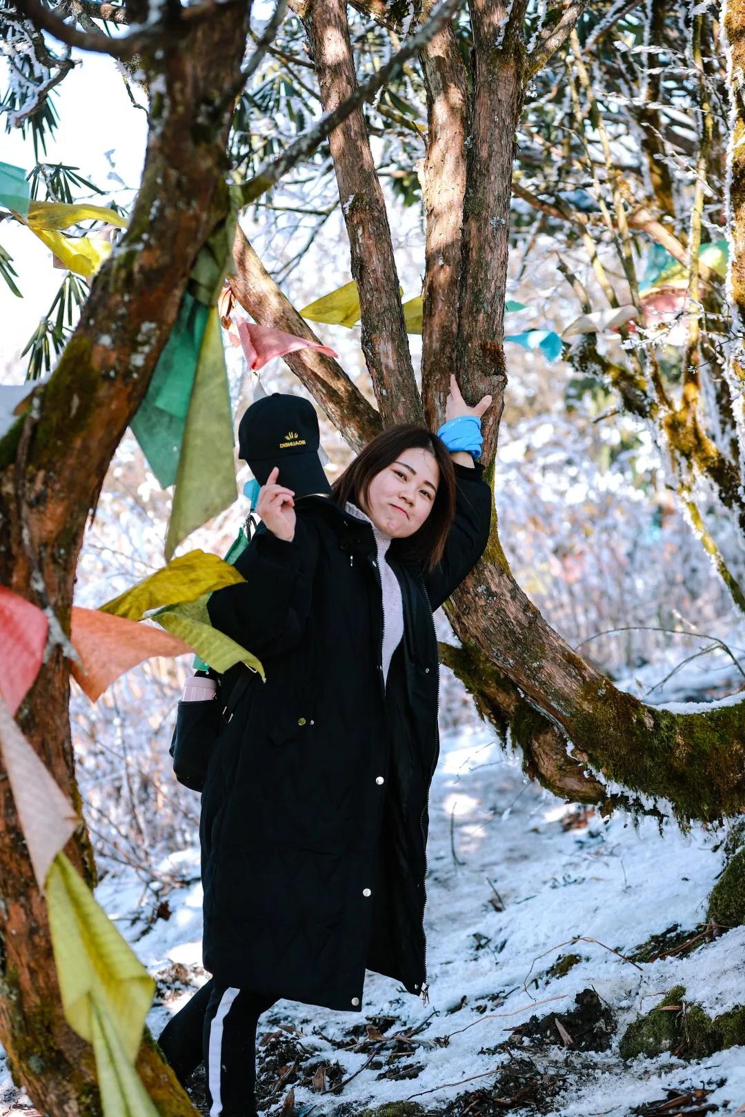 成都天台山景区自驾游攻略,成都天台山玩雪
