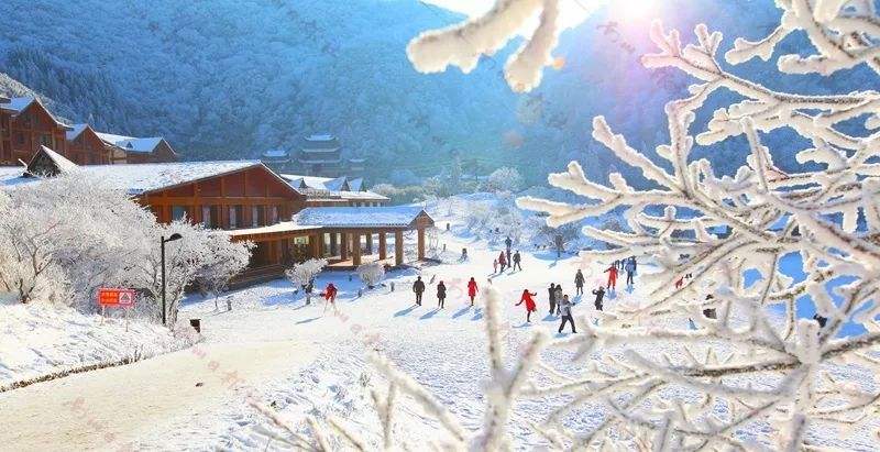 尽情撒欢的滑雪季,尽情的享受滑雪的乐趣