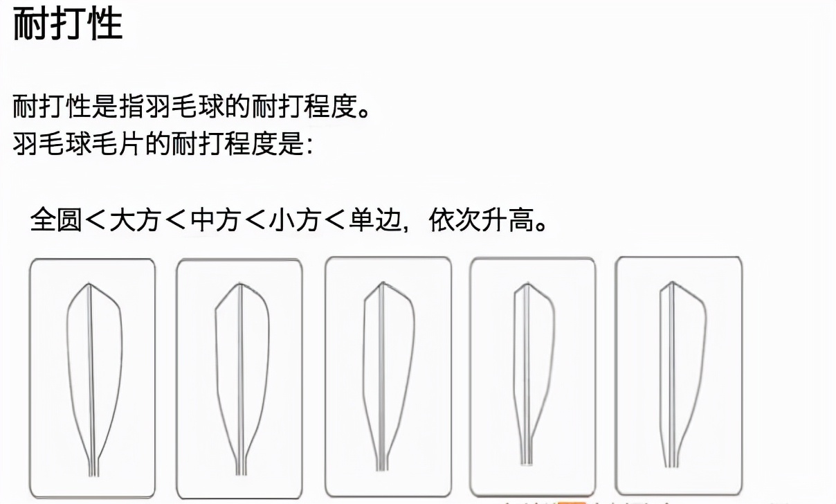 羽毛球初学者适合用哪种羽毛球,羽毛球初学者推荐用什么羽毛球