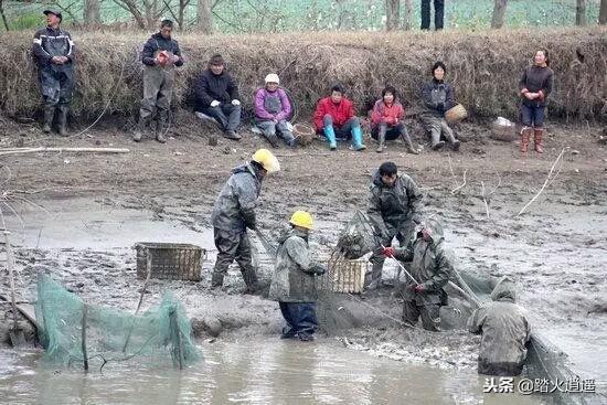 生石灰是靠什么清塘的,生石灰清塘的作用是什么