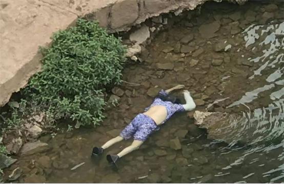死猪牵出24名女性被害案,一头死猪牵出24具女尸案音频
