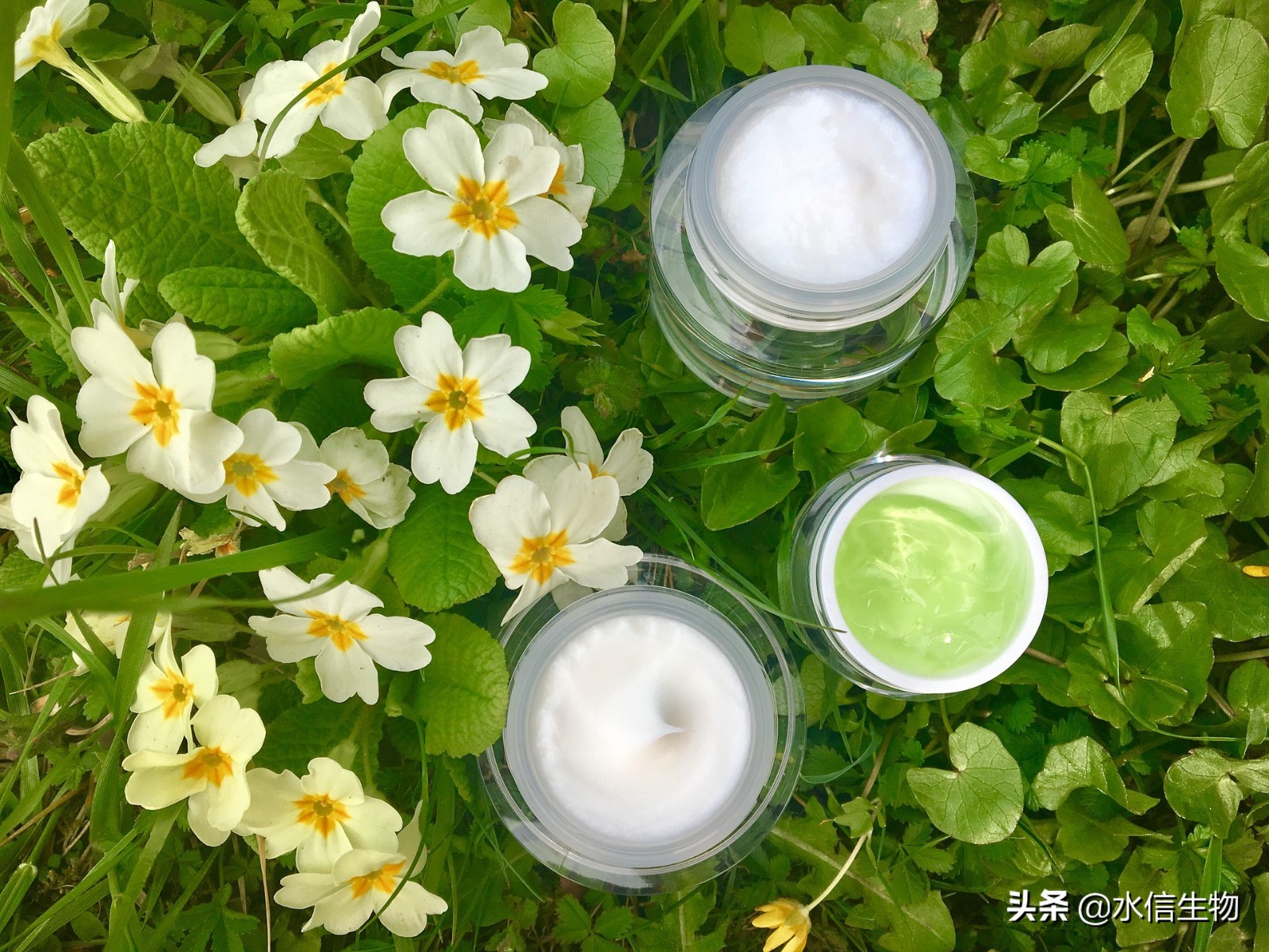 眼角有皱纹怎么快速解决,眼角长皱纹用什么药好