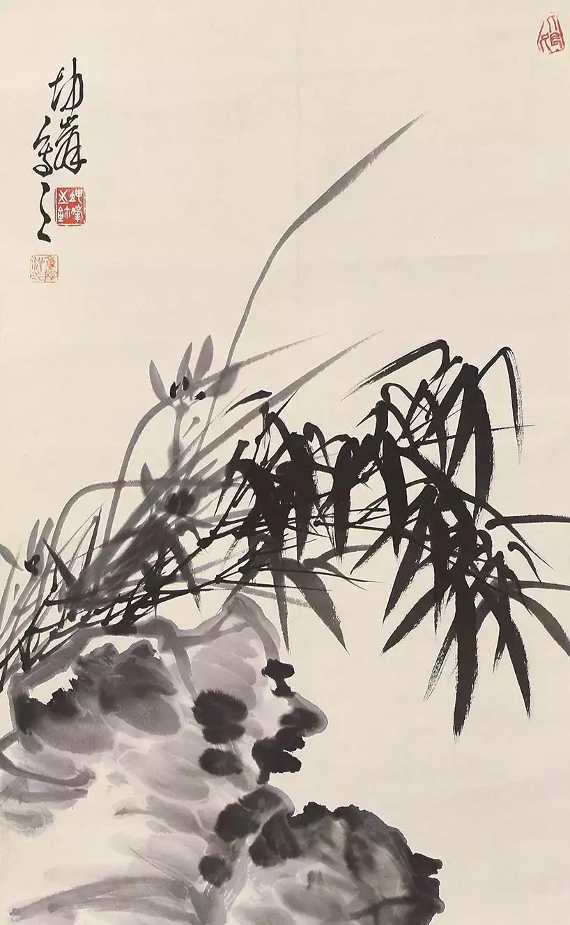 如何画兰花最好看的,君子兰花如何画