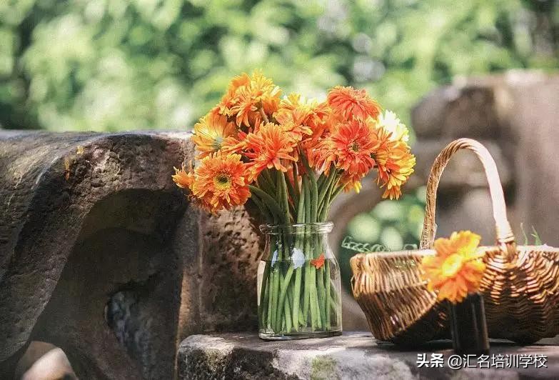 花艺十六种手法,流行花艺简单教学