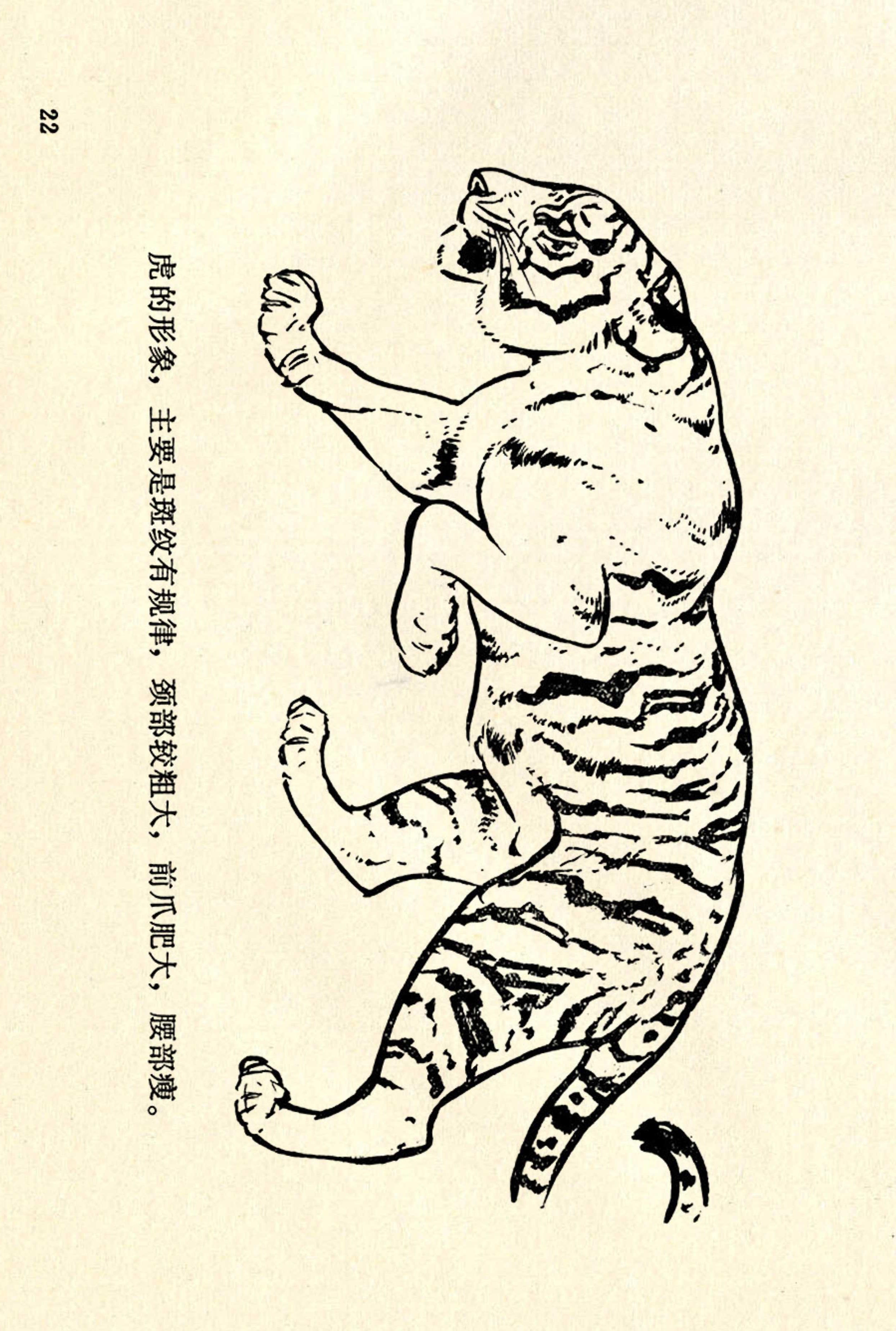 刘继卣画的学习方法,刘继卣动物插画