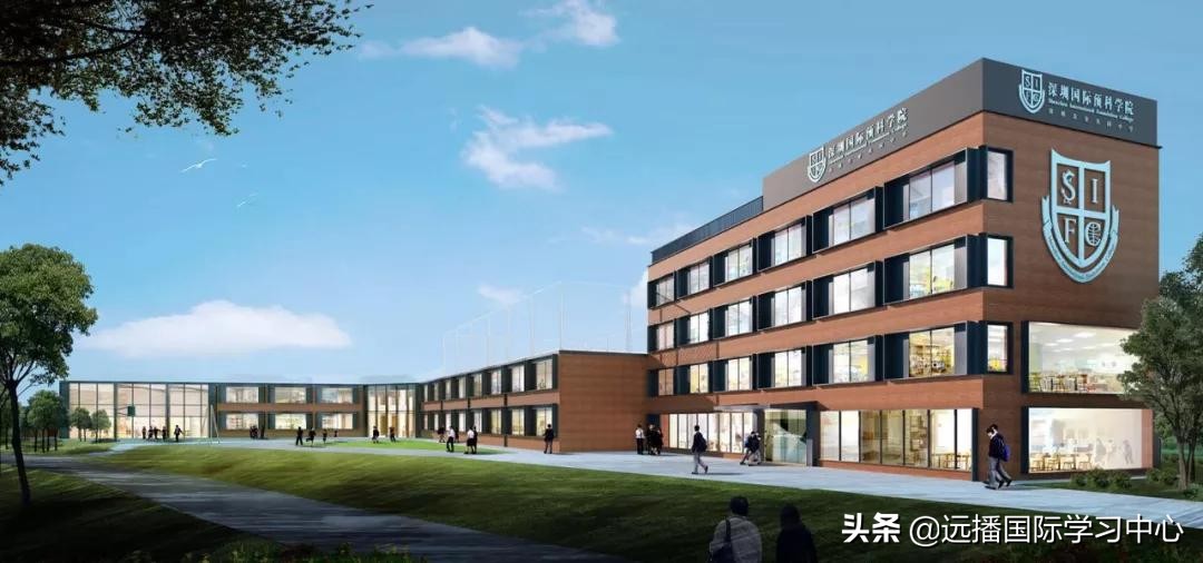 北上深这几所国际学校的课外活动堪比十几万的兴趣班