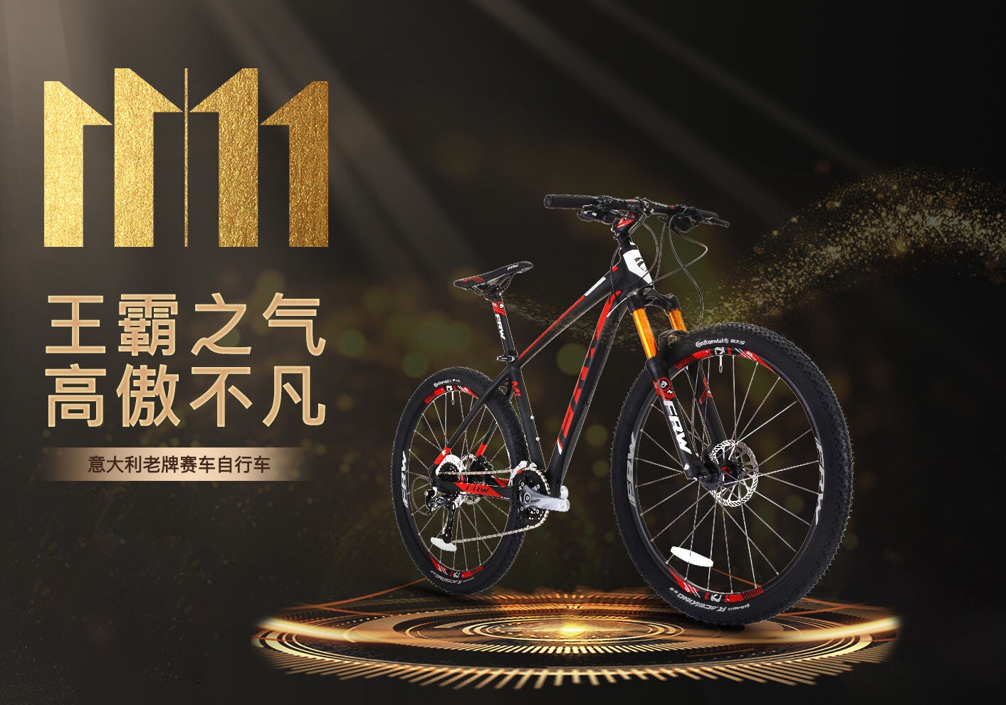 辐轮王国际大牌自行车,frw辐轮王全球高端自行车