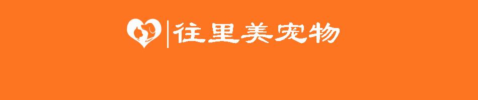 短腿小奶猫需求注意什么,小奶猫呆萌的样子真的心都化了