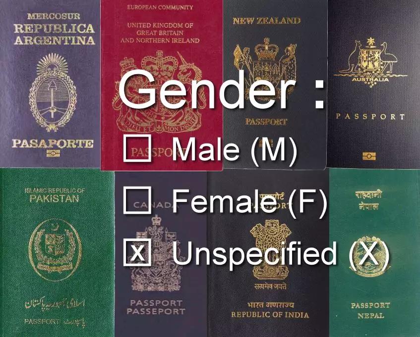 女权，LGBT，黑人，政治正确的江湖中，谁才是王者？