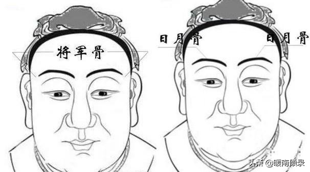 头生九龙骨,头生九龙骨是什么样