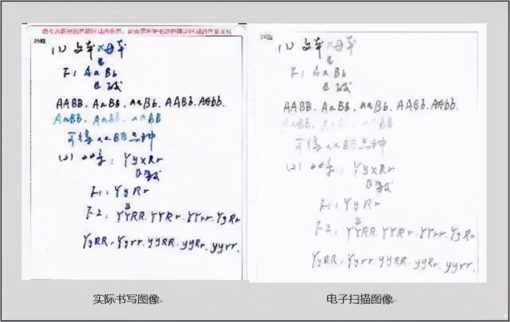 中考考试用修正带的后果,中考用修正带扣分吗