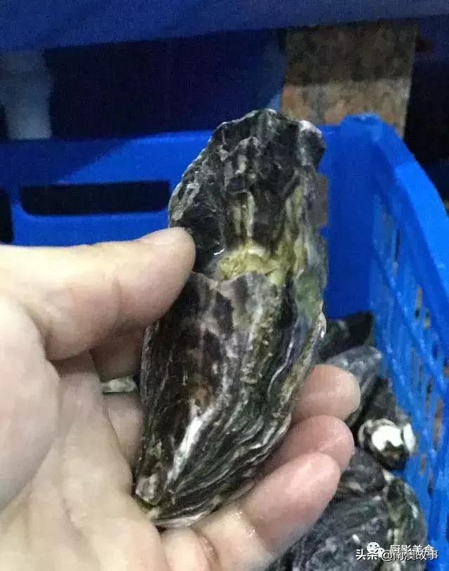 水煮贝壳类海鲜煮多久,海边海鲜用什么水煮好吃