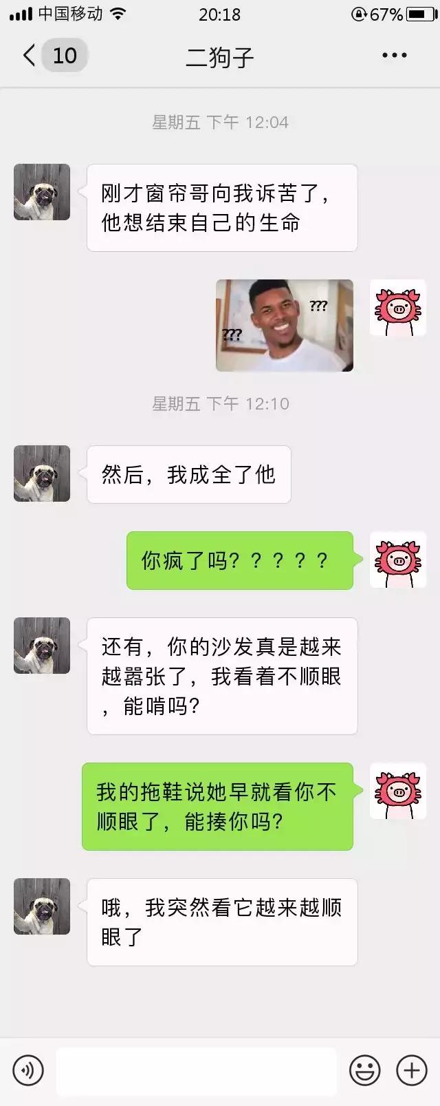 跟我家猫发微信，就像跟渣男在聊天
