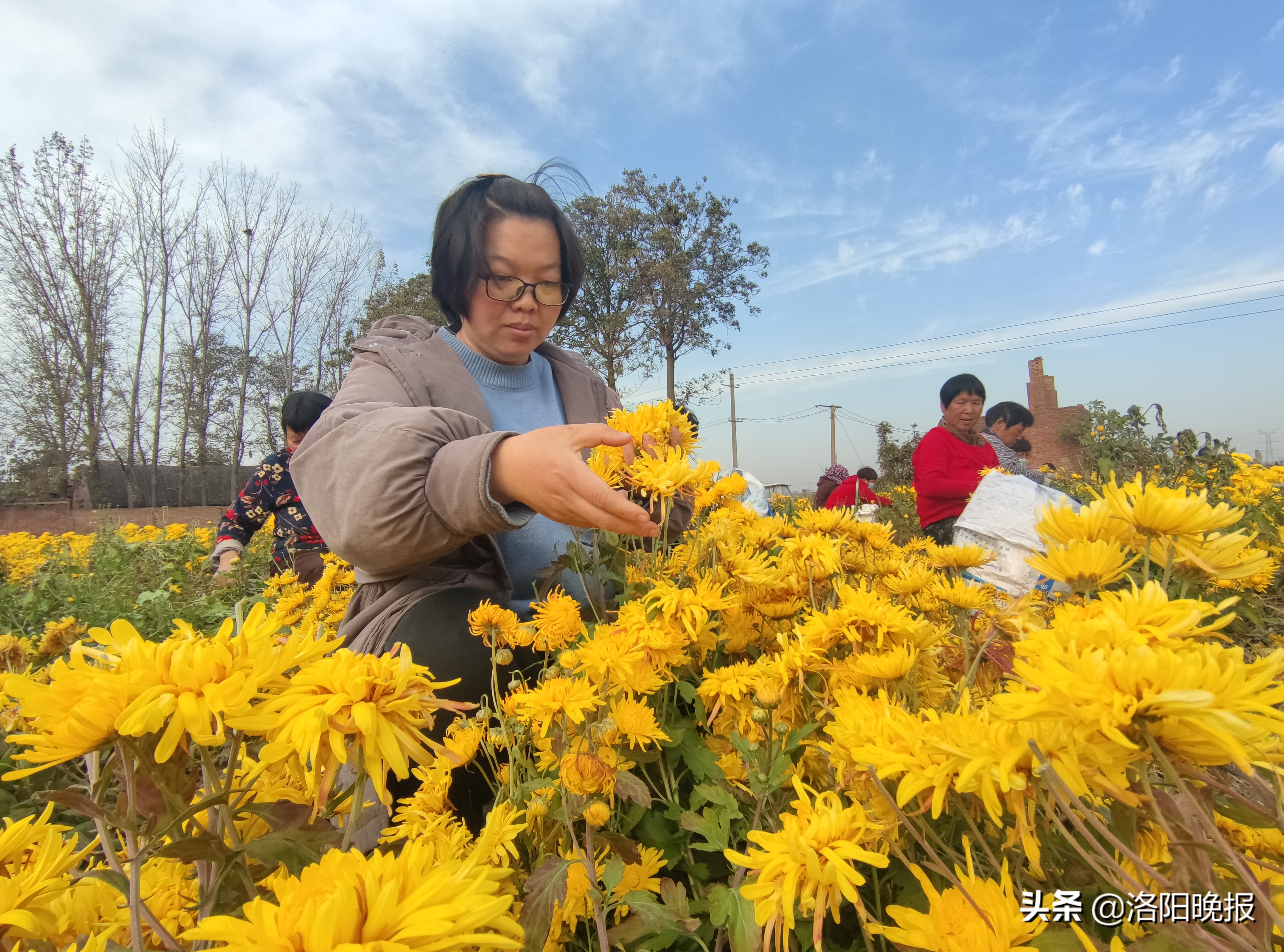 杨婷婷霍邱,杨婷婷丽水