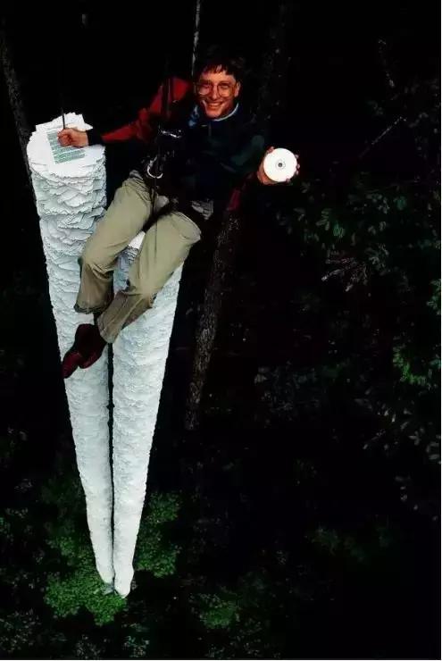人生如白驹过隙且行且珍惜,人生在世如白驹过隙