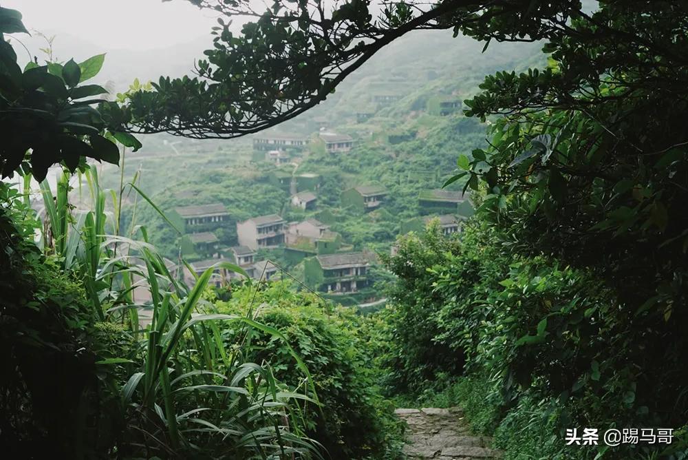 海南东极岛自由行攻略 (嵊泗列岛东极岛枸杞岛哪个值得去)
